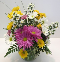 Happy Daysies! from Lesher's Flowers, local St. Louis Florist since 1973